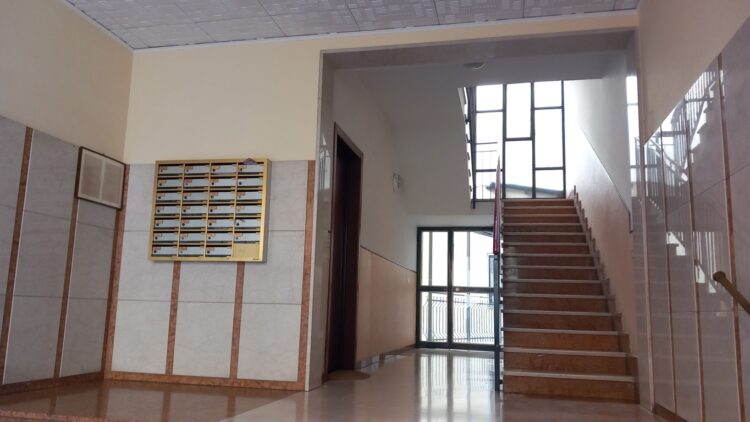 IMG 20250303 WA0126 (FILEminimizer) 1749830576 gallery 750x422